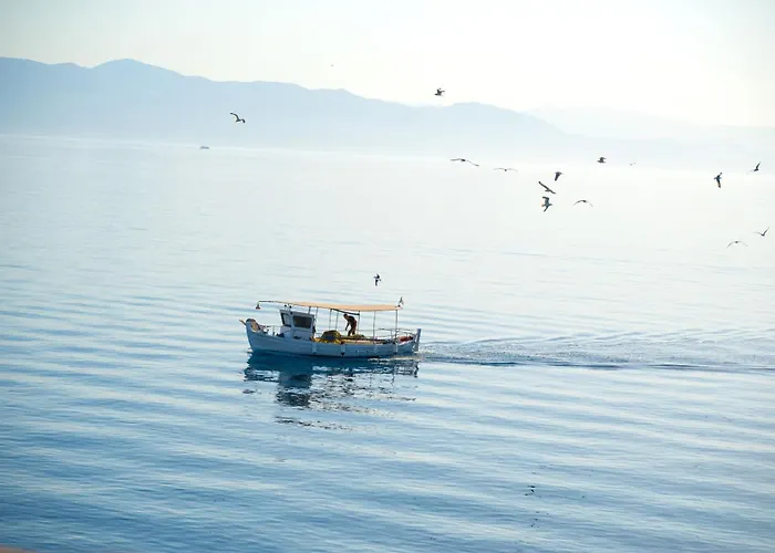 Daire Lefkas *